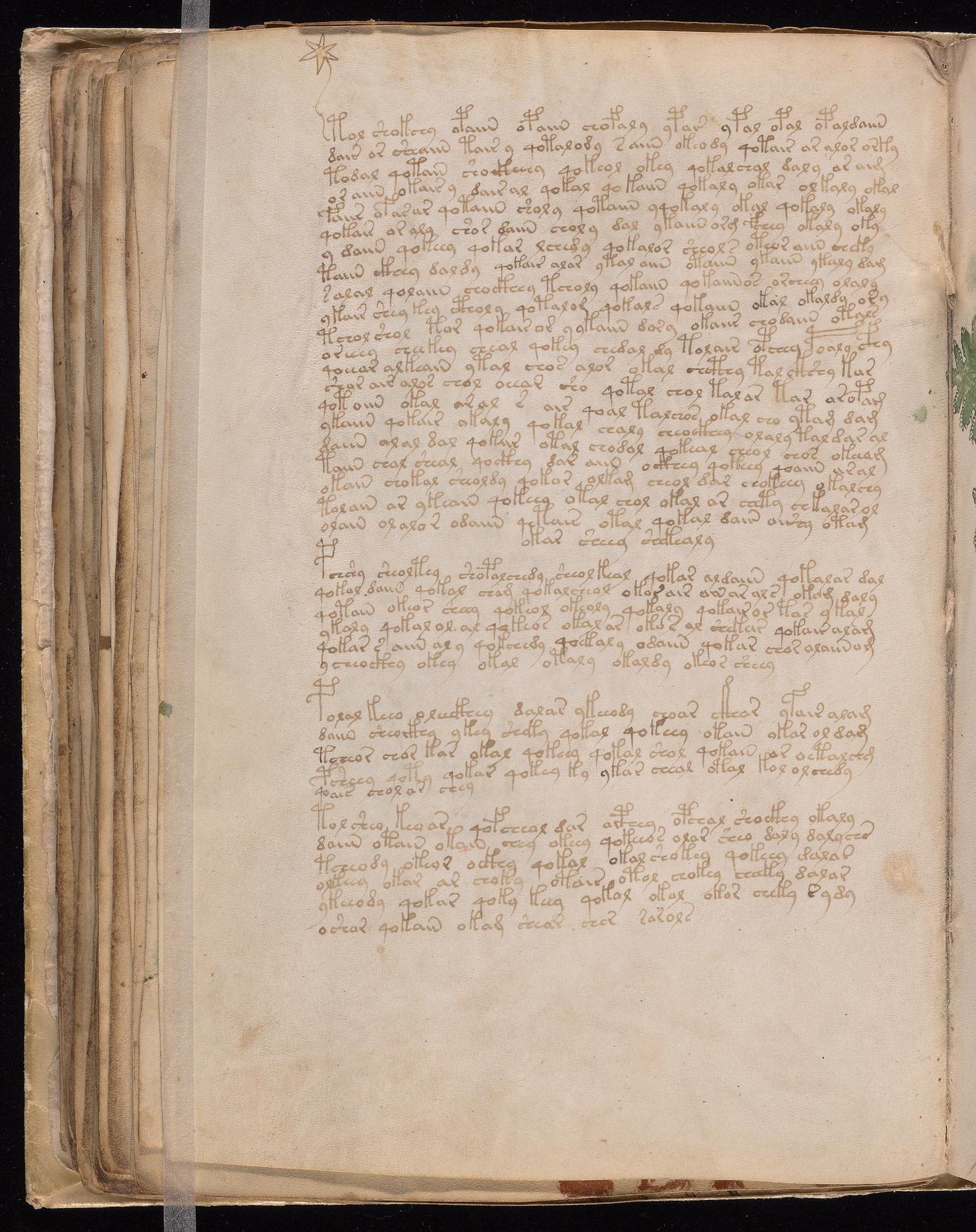Voynich Manuscript folio f58v — Beinecke MS 408